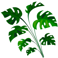 Daun