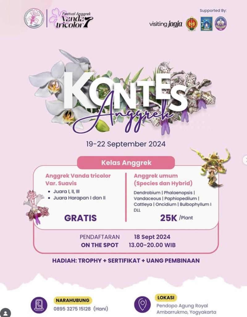 Kontes Anggrek – Festival Anggrek Vanda Tricolor #7