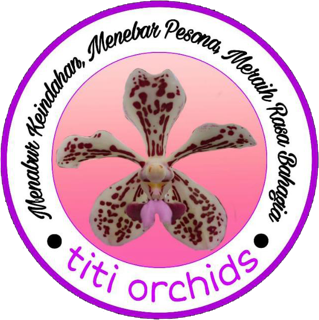 Titi Orchids
